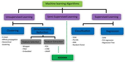 KODAMA exploratory analysis in metabolic phenotyping